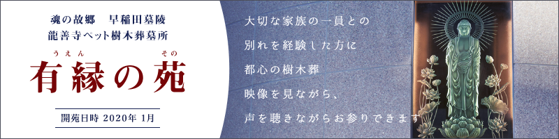 有縁の苑について