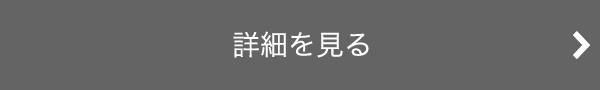 詳細を見る